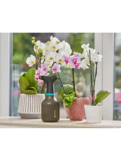 Pumpsprüher in Grau - 0,75 l