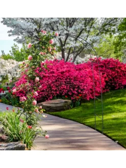 Rankhilfe in Grün - (B)140 x (H)240 x (T)38 cm