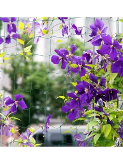 Ranknetz in Grün - (B)360 x (H)180 cm