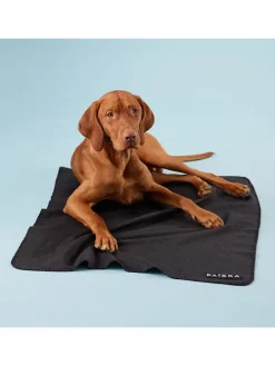 Recovery-Hundedecke in Schwarz