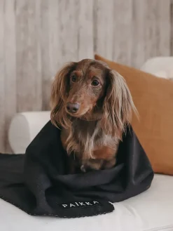 Recovery-Hundedecke in Schwarz