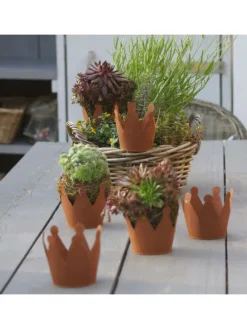 Rostkrone Ø12 in Braun