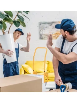 Sackkarre Treppensteiger 