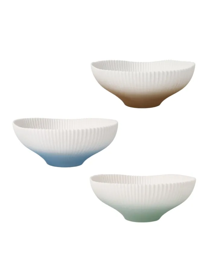 Schale " Set Raindrop " in Bunt