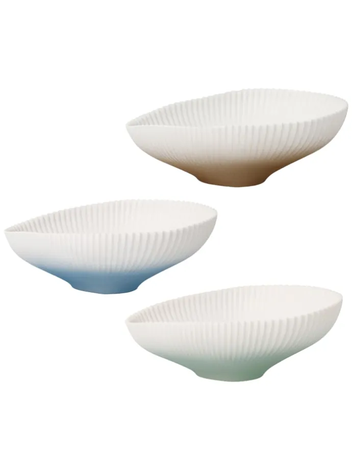 Schale " Set Raindrop " in Bunt