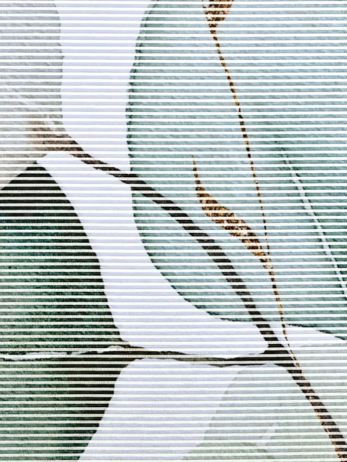 Schiebevorhang in weiß-bedruckt