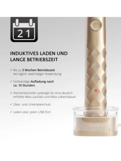 SHINE BRIGHT USB-Schallzahnbürste in gold