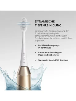 SHINE BRIGHT USB-Schallzahnbürste in gold