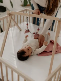 Sämann Laufgitter mit Lattenrost & Schlupfsprossen - natur - Premium Kollektion