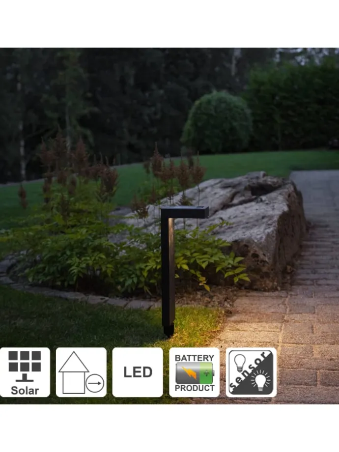 Solar Wegeleuchte Vicini in Schwarz