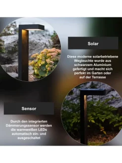 Solar Wegeleuchte Vicini in Schwarz