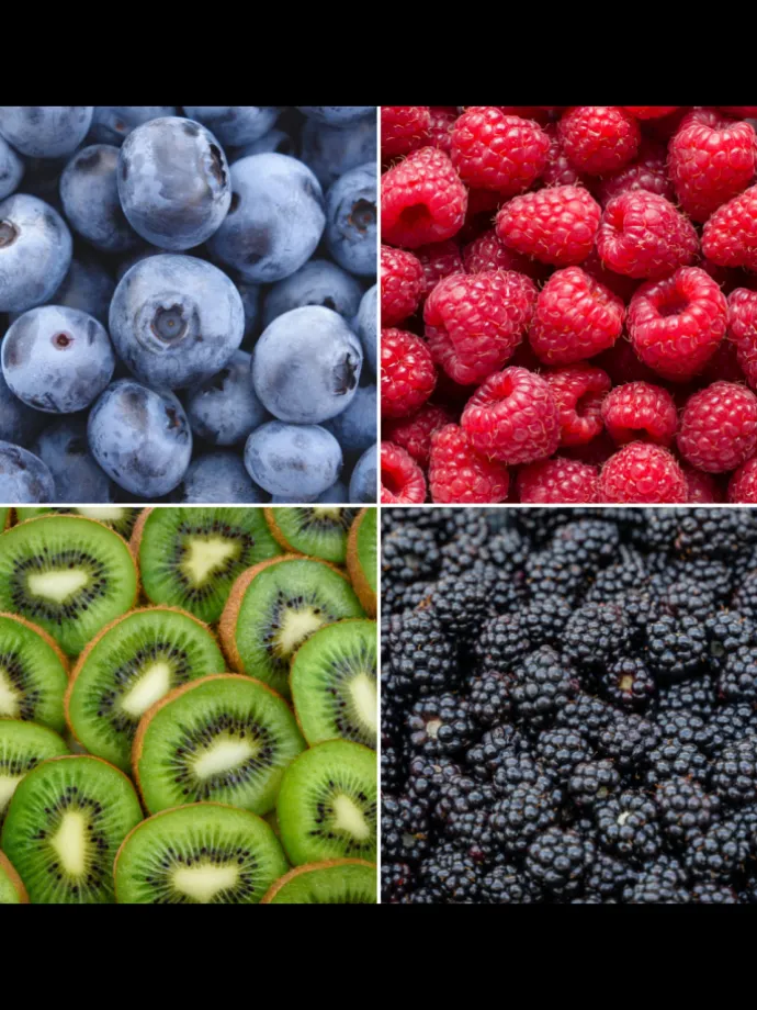 Sommerfrüchte BIO-Obstpflanzen-Mix-Set mit 4 verschiedenen Sorten