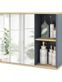 Spiegelschrank Bad hängend 60 x 20 x 50 cm in Grau