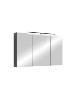 Spiegelschrank SPREE in anthrazit - B 100, H 60, T 20 cm