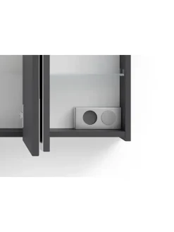 Spiegelschrank SPREE in anthrazit - B 100, H 60, T 20 cm