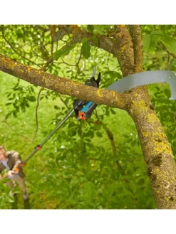 Teleskop-Baumschneider 