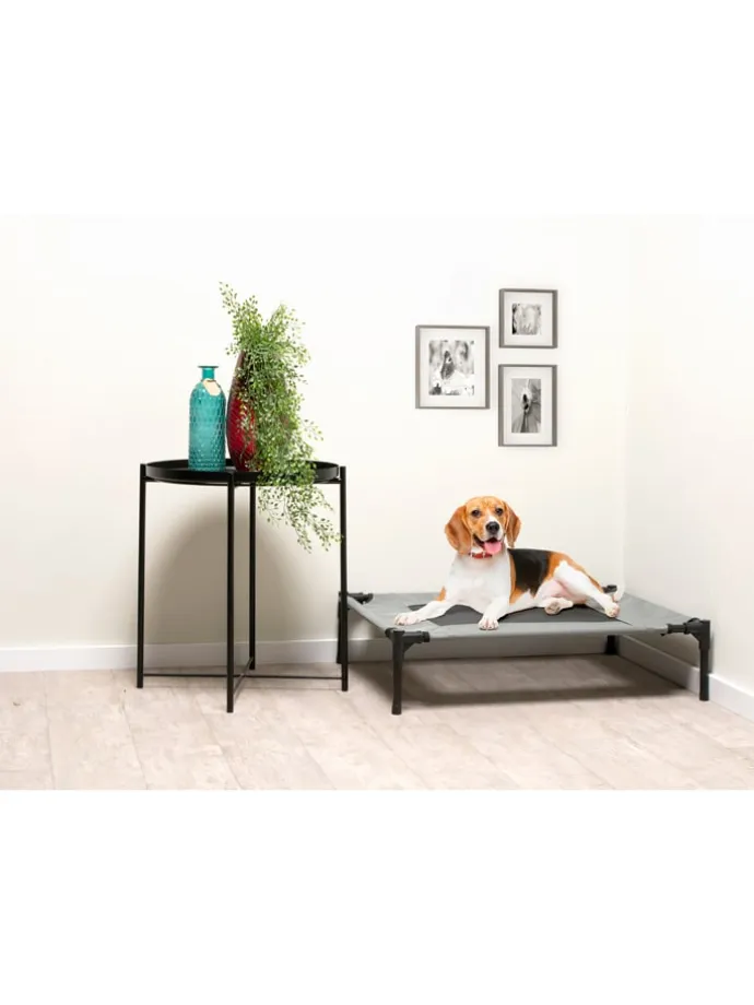 Tierbett in Grau - (B)81 x (H)17 x (T)63,5 cm