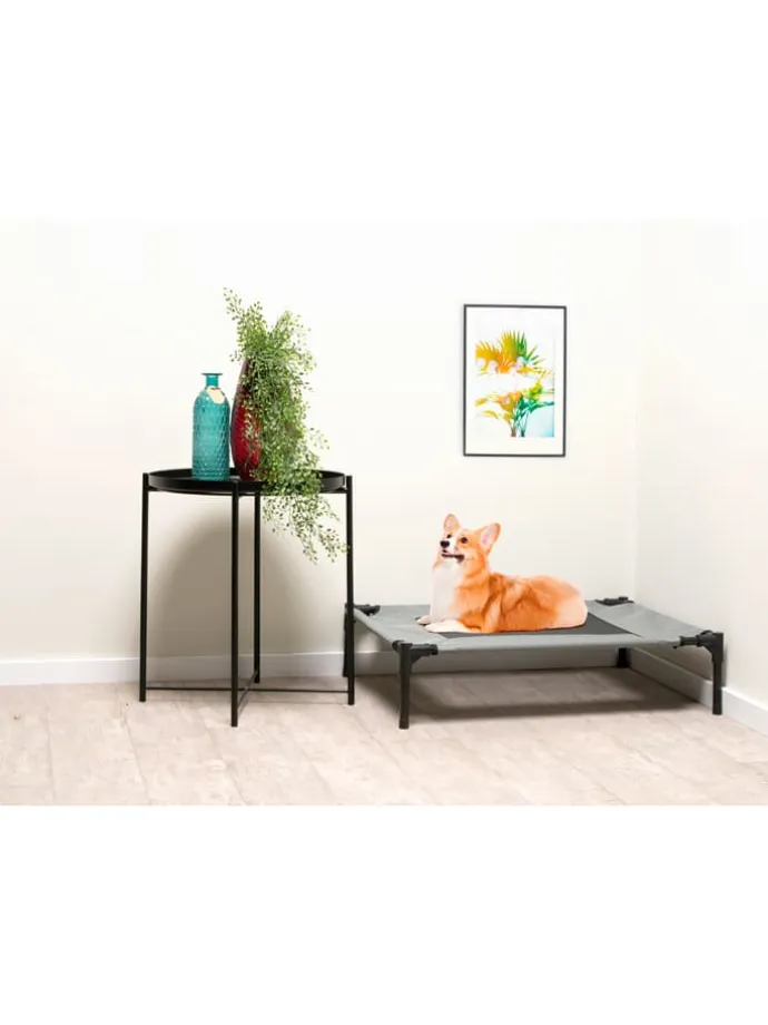 Tierbett in Grau - (B)81 x (H)17 x (T)63,5 cm