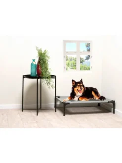 Tierbett in Grau - (B)81 x (H)17 x (T)63,5 cm