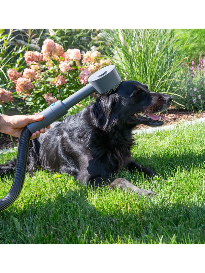Tierhaar Bürstenset Sense IQ in Grau