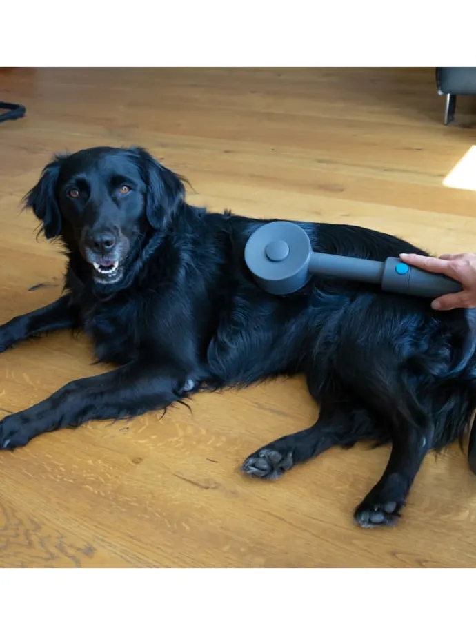 Tierhaar Bürstenset Sense IQ in Grau