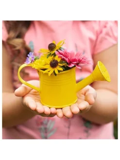 2tlg. Anzuchtset "Krabbelkäfer" in Gelb