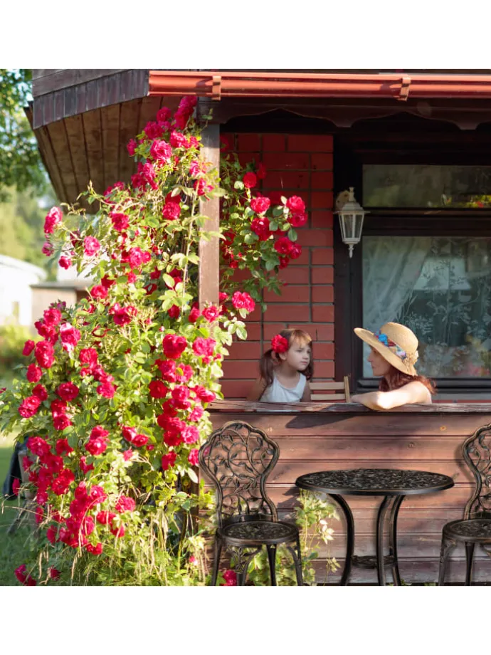 3tlg. Balkonmöbel Set in Bronze