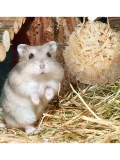 5-tlg. Hamsterzubehör Set in Natur