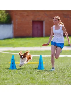 18-tlg. Steckhürden Set in Blau/ Gelb