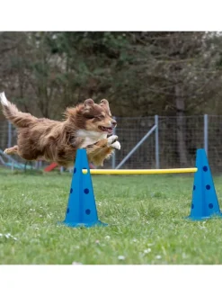 18-tlg. Steckhürden Set in Blau/ Gelb