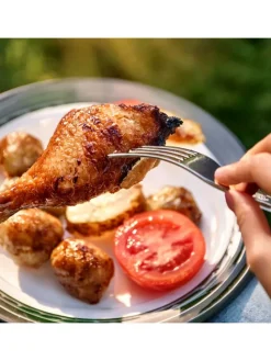 2tlg-Set Geflügelschere