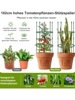 Tomaten Rankhilfe 3er Set 50x102cm in Grün