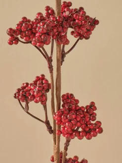 Trockenpflanze "Christmas Dal" in Rot - (H)75 cm