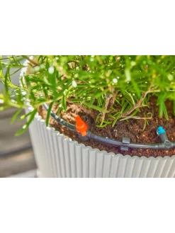 Tropfbewässerungssystem 