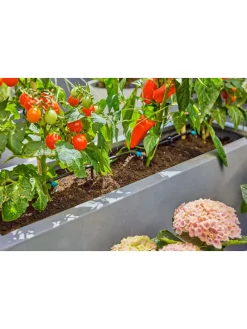 Tropfbewässerungssystem 