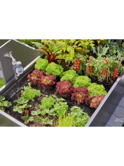 Tropfbewässerungssystem 