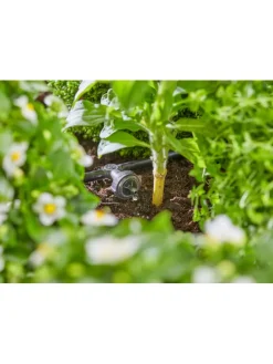 Tropfbewässerungssystem 