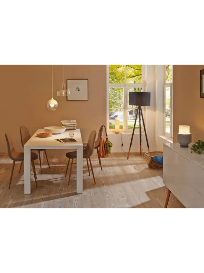 Vintage Edition Standard 230V LED Kolben F