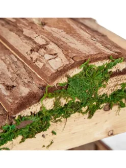 Vogelfutterhaus in Natur