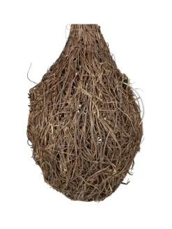 Vogelnest 