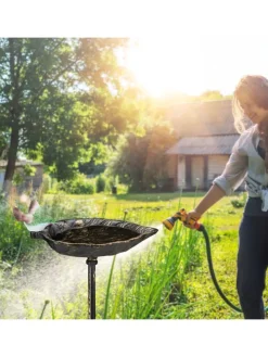 Vogeltränke Erdspieß in Bronze