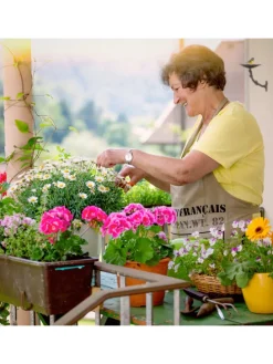 Vogeltränke Gusseisen in Braun