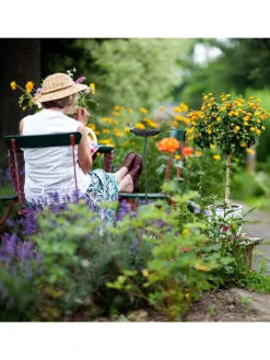 Vogeltränke in Dunkelgrün