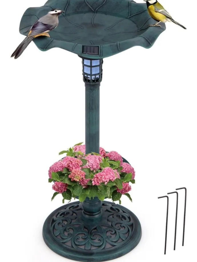 Vogeltränke mit Solarleuchte in Grün