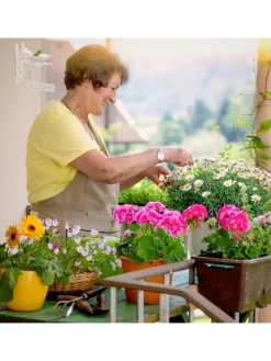 Vogeltränke Welcome in Bronze