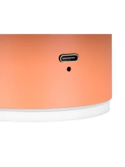 Wandleuchte DAVEY in apricot