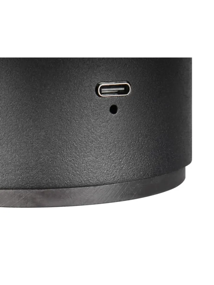 Wandleuchte DAVEY in schwarz matt