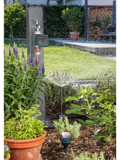 Water-Control in Schwarz