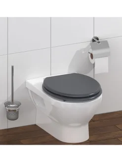 WC-Sitz mit Absenkautomatik