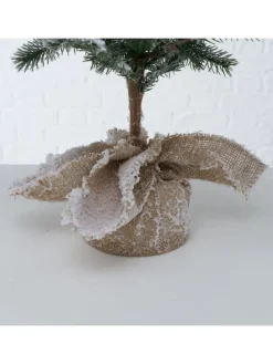 Weihnachtsbaum Mika in grün